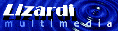 Lizardi Multimedia